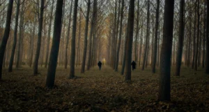 Dos personas caminando por un bosque en Los Cangrejos